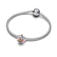 Charm Pandora Donna in Argento 764023C01 - 764023C01